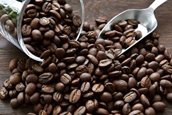 個性豊かなコーヒーの世界 それは、ひと粒の果実からのイメージ画像
