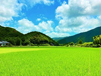 拡大続くふるさと納税 その仕組とメリットとは