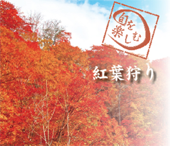 紅葉狩り