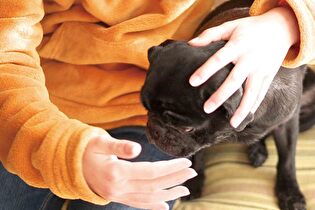 大原則は“同行避難”災害に備えてペットの飼い主ができること