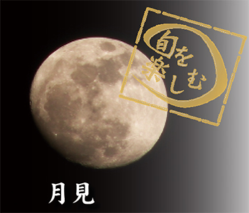 月見